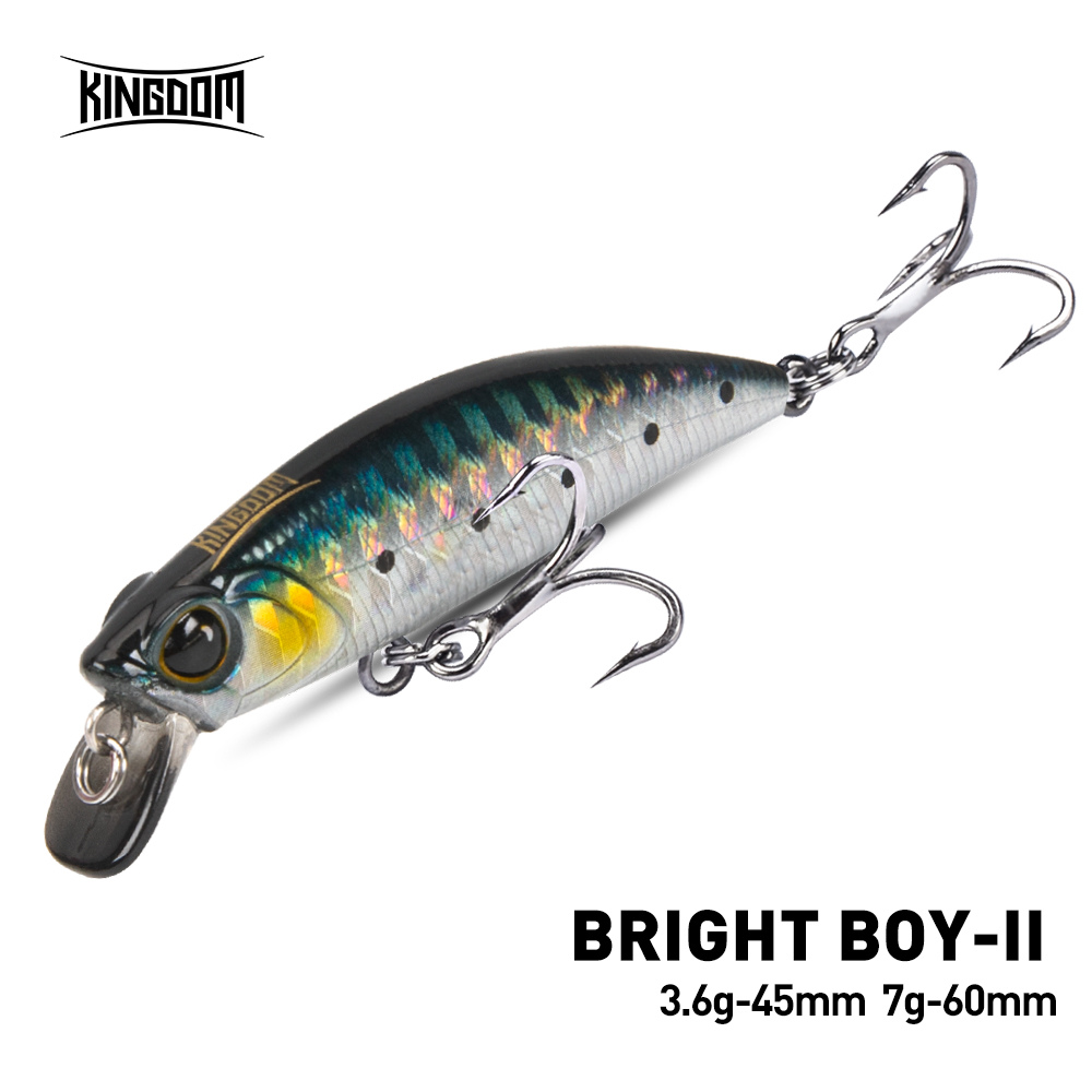 Fishing Equipment Deals - Koninkrijk Sinking Minnow Vissen Lokken 45mm